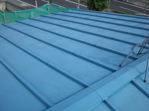 菊　葺き前1-thumb-640x480